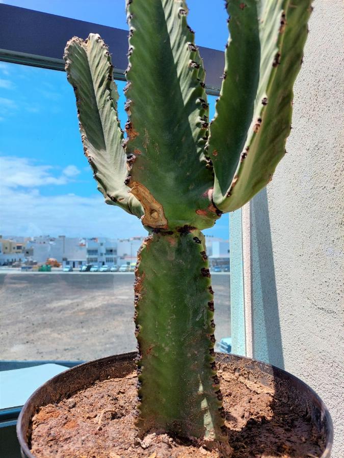 Deep Blue Cotillo III By Sea You There Fuerteventura Bagian luar foto